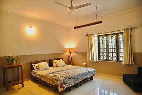 Dragonfly Goa