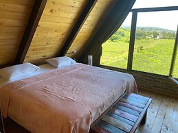 Tenora Suit Bungalov