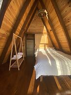 Tenora Suit Bungalov