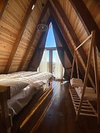 Tenora Suit Bungalov