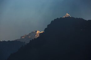 Shekhar's Place
