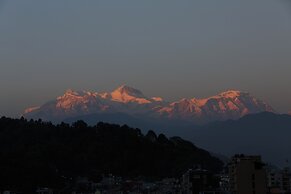 Shekhar's Place
