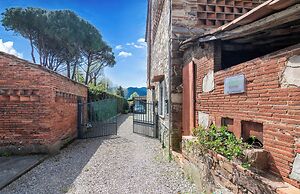 B&B Toringo
