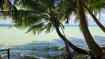 Avanti Surf & Stay