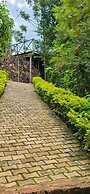 Bwindi Neckview Lodge