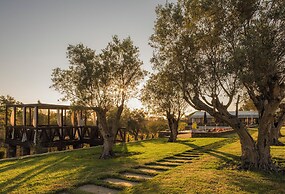 TEIMA Alentejo SW