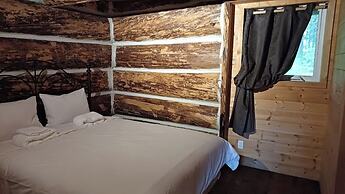 Rustic Beaverfoot Lodge Dream Cabin