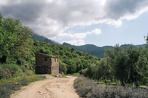 Domaine Acciola