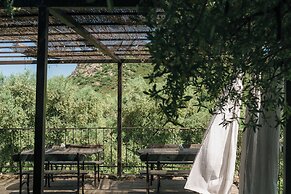 Domaine Acciola