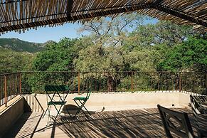 Domaine Acciola