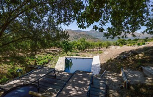 Domaine Acciola
