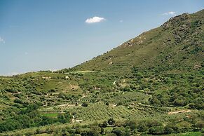 Domaine Acciola