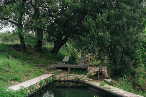 Domaine Acciola