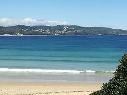 Experience Nature at Brenton on Sea With Breakers Dolphins and Whales