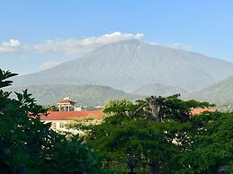 BOULEVARD INN MT MERU