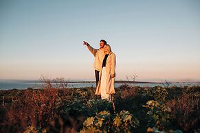 Rumi On Louth
