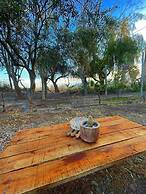 Hostel the ranch