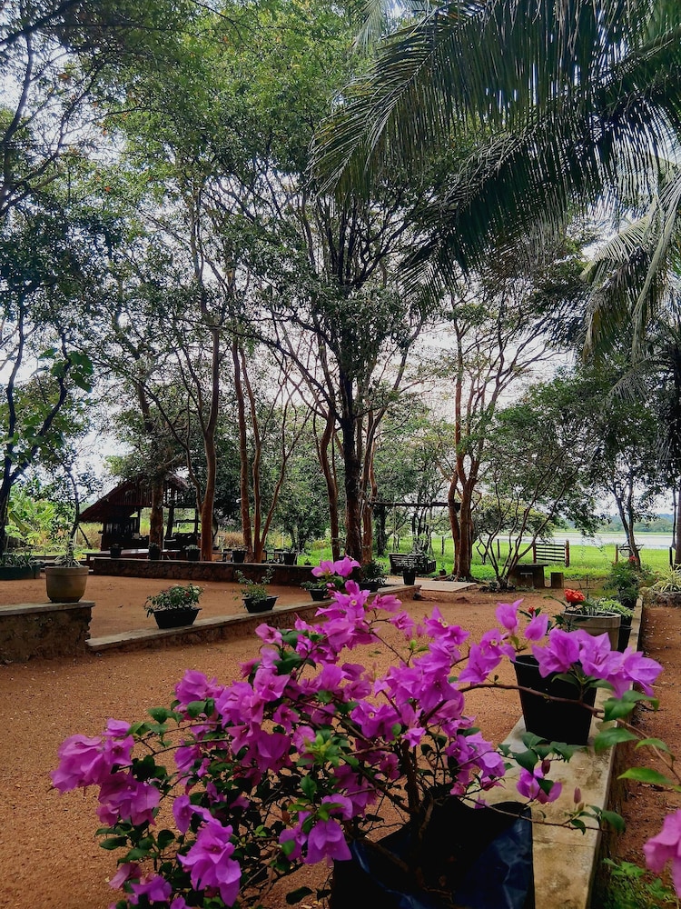 Lake Front Cottage Sigiriya