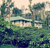 Hidden Creek Coorg