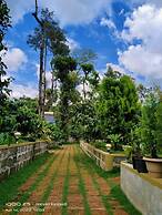 Hidden Creek Coorg