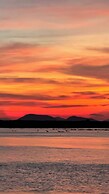 Flamingo Hai Tien