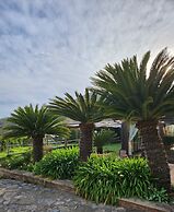 Tenuta D'Arienzo