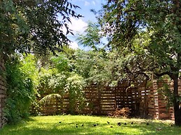 casa mango