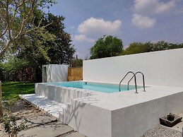 casa mango