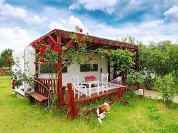 Vadi Zirkon Otel & Kamping
