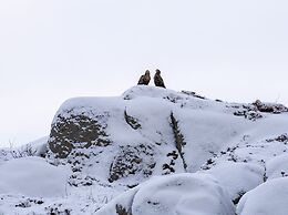 Ure Lodge