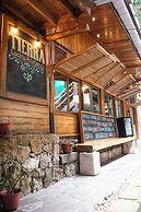 tree house lodge