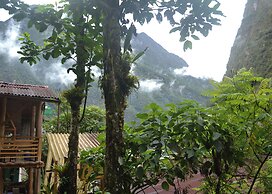 tree house lodge