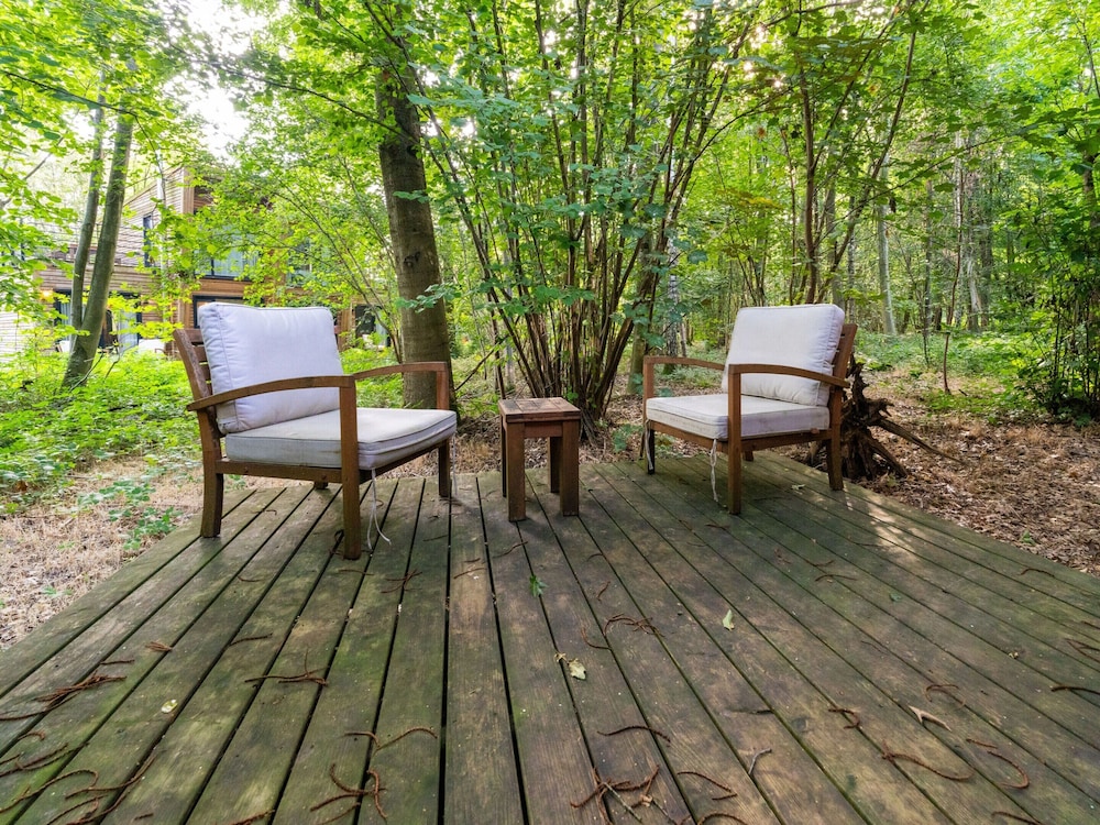 Peaceful Forest Escape