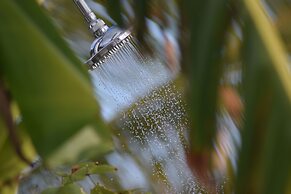 Wild Lotus Rainforest & River Glamping