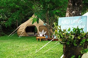 Wild Lotus Rainforest & River Glamping