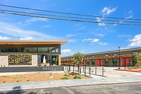 The Evergreen