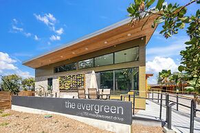 The Evergreen
