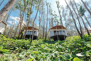 La Pino Mount Batur and Hot Spring