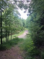Chemin de résilience