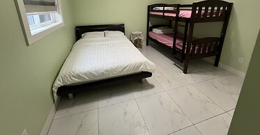 Newton Suite