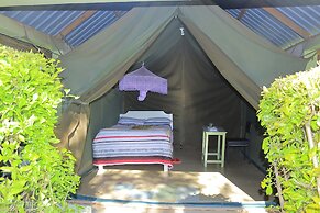 Rhino Tourist Camp