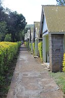 Rhino Tourist Camp