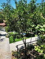 Les Amandiers D2&D3 by Corfu Escapes