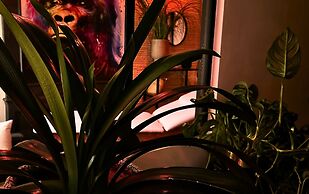 AKA LOVE ROOM