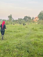 The Countryside Home