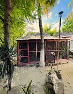 Casa Jade coloradas