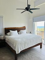 La Diosa Condos penthouse w plunge pool