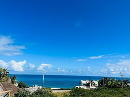 La Diosa Condos penthouse w plunge pool