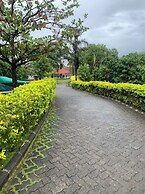 Jumbo Paradise