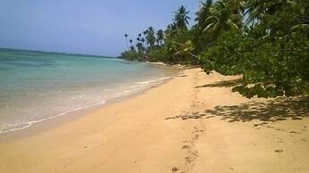 Tropical Paradise Retreat in Las Terrenas